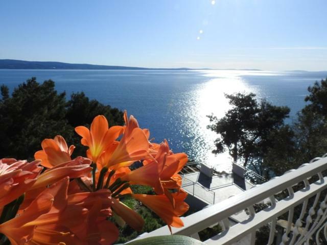 Sunrise Vid Διαμέρισμα Dugi Rat Εξωτερικό φωτογραφία